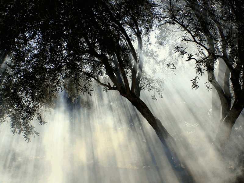 The Art of Connection